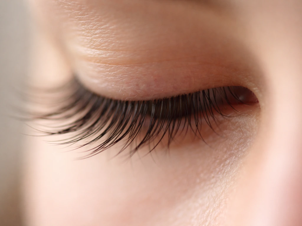 Macro close-up of an eye lash line with long individual lashes, natural light, blurred background.